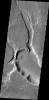 The unnamed channels in this image captured by NASA's 2001 Mars Odyssey spacecraft are located in Arabia Terra.