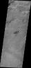 The solitary windstreak in today's image from NASA's 2001 Mars Odyssey spacecraft is located on the volcanic plains of Daedalia Planum. The windstreak appears to represent two different wind directions.