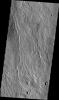 This small channel is located on the western flank of Alba Mons. This image is from NASA's 2001 Mars Odyssey spacecraft.