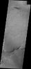 The windstreak in this image from NASA's 2001 Mars Odyssey spacecraft is located on the northwestern plains of Daedalia Planum.