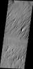 This image captured by NASA's 2001 Mars Odyssey spacecraft of Eumenides Dorsum on Mars shows erosion of the surface material by wind action.