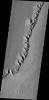 The ridge in this image captured by NASA's 2001 Mars Odyssey spacecraft shows Mars' Tharsis region (called Uranius Dorsum) reminds one of a skeletal spine.