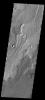 This image from NASA's 2001 Mars Odyssey spacecraft shows lava flows in Daedalia Planum.