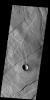 This image from NASA's 2001 Mars Odyssey spacecraft shows a portion of Alba Fossae, located on the northwestern margin of Alba Mons. Small channels are also visible.