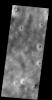 The dark markings in this image from NASA's 2001 Mars Odyssey spacecraft are tracks made by the passage of 'dust devils.' Dust devils are common in the extensive plains of the northern latitudes. This image is located in Utopia Planitia.