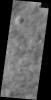 This image captured by NASA's 2001 Mars Odyssey spacecraft shows dust devil tracks covering most of the surface in this region of Utopia Planitia.