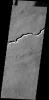 This image captured by NASA's 2001 Mars Odyssey spacecraft shows a portion of Patapsco Vallis, located on the eastern margin of the Elysium volcanic complex.