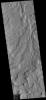 The unnamed channels in this image captured by NASA's 2001 Mars Odyssey spacecraft are located in Terra Cimmeria.