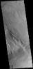 This image from NASA's 2001 Mars Odyssey spacecraft shows a region near Memnonia Sulci, which has been eroded by the wind to form linear ridges called yardangs. The two prominent directions of wind are recorded by the two directions of the ridges.
