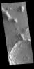 This image captured by NASA's 2001 Mars Odyssey spacecraft shows visible dark streaks on the slopes of hills and crater rims in Amazonis Planitia.