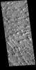 This image captured by NASA's 2001 Mars Odyssey spacecraft shows a small portion of Gigas Sulci.