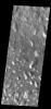 This image captured by NASA's 2001 Mars Odyssey spacecraft shows part of Ariadnes Colles. The term colles means hills.