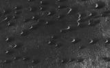 Sand dunes are scattered across Mars and one of the larger populations exists in the Southern hemisphere, just west of the Hellas impact basin. as seen by NASA's Mars Reconnaissance Orbiter.