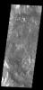 This image from NASA's Mars Odyssey shows part of the floor of Eberswalde Crater.