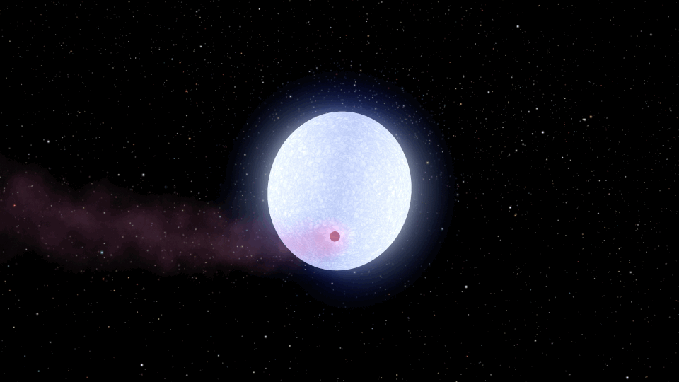 אנימציה שמראה את KELT-9b סביב כוכבו בהקפה סינכרונית, כולל השובל המאודה | הדמיה: Robert Hurt/NASA/JPL-Caltech