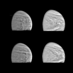 These images of the Venus clouds were taken by NASA's Galileo Solid State Imaging System February 13,1990, at a range of about 1 million miles. The smallest detail visible is about 20 miles. They show the state of the clouds near the top of Venus's cloud 