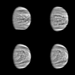 These are enhanced versions of four views of the planet Venus taken by NASA's Galileo's Solid State Imaging System at distances ranging from 1.4 to 2 million miles as the spacecraft receded from Venus.