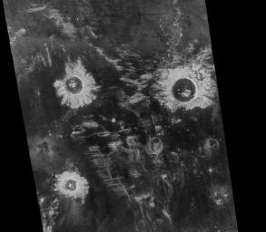 Three large meteorite impact craters are seen in this image obtained by NASA's Magellan spacecraft of the Lavinia region of Venus. 