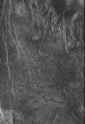 This full resolution radar mosaic from NASA's Magellan spacecraft shows a 200 kilometer (124 mile) segment of a sinuous channel on Venus.