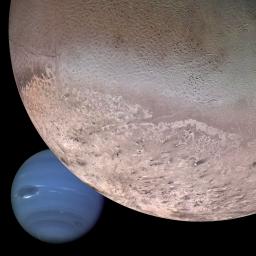This computer generated montage created from images obtained by NASA's Voyager 2 shows Neptune as it would appear from a spacecraft approaching Triton, Neptune's largest moon at 2706 km (1683 mi) in diameter.