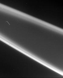 The rings of Jupiter proved to be unexpectedly bright when seen with the Sun nearly behind them. Strong forward scattering of sunlight is characteristic of small particles. This view was obtained by NASA's Voyager 2.