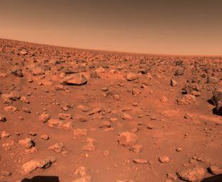 The first color picture taken by NASA's Viking 2 on the Martian surface shows a rocky reddish surface in 1997.
