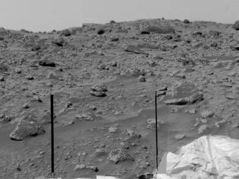 An area of very rocky terrain at the Ares Vallis landing site, along with the lander's deflated airbags, were imaged by NASA's Imager for Mars Pathfinder (IMP). The two dark lines are missing data.