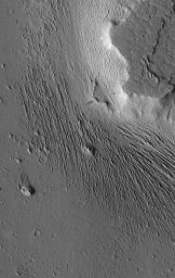 Extensive wind-swept plains of the Medusae Fossae formation on Mars are seen in this image from NASA's Mars Global Surveyor Orbiter.