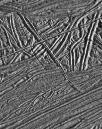This image of Jupiter's moon Europa shows a very complex terrain of ridges and fractures. NASA's Galileo spacecraft obtained this image on February 20, 1997.