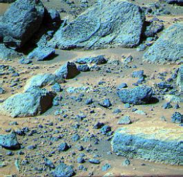 This false color composite image from NASA's Mars Pathfinder (MPF) of the Rock Garden shows the rocks 'Shark' and 'Half Dome' at upper left and middle, respectively.