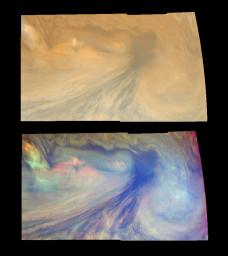 True and false color views of an equatorial 'hotspot' on Jupiter. These images taken by the Solid State Imaging system aboard NASA's Galileo spacecraft cover an area 34,000 kilometers by 11,000 kilometers.