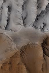 This image acquired by NASA's Mars Global Surveyor on April 13, 1998 shows the Cydonia region on Mars.
