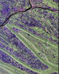 Scientists are using this radar image of the area surrounding Sunbury, Pennsylvania to study the geologic structure and land use patterns in the Appalachian Valley and Ridge province.