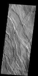 These lava flows and channels are part of Alba Patera, a large collapsed volcano in the Tharsis region on Mars as seen by NASA's Mars Odyssey spacecraft.