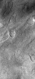 NASA's Mars Global Surveyor acquired this image in June 1999 showing a tiny portion of the martian floor of northern plains craters. Utopia Planitia crater, cracked and pitted, is shown on the right.