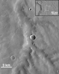 NASA's Mars Global Surveyor shows a portion of a small Martian valley network east of the impact basin Schiaparelli crater on Mars. The area is heavily blanketed with windblown dust and sand.