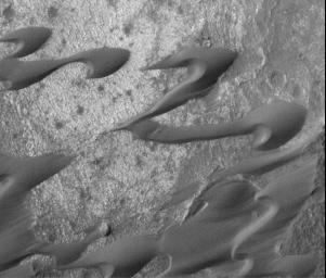 This dramatic image was NASA's Mars Global Surveyor captured during March 1999 shows a field of dark sand dunes in the Nili Patera region of Syrtis Major on Mars. The shapes of these dunes indicate that wind has been steadily transporting the dark sand.