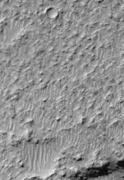 NASA's Mars Global Surveyor shows a view of a tiny portion of the southeastern floor of Mariner Crater pocked with craters.