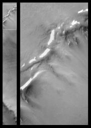 NASA's Mars Global Surveyor shows Vastitas Borealis plain, north of Utopia Planitia on Mars. curved crater rims are visible in the upper and lower quarters of the image, and the crater floor is visible at the center right.