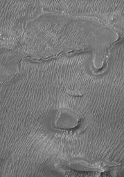 NASA's Mars Global Surveyor shows a portion of the floor of Melas Chasma. Dark sand dunes dominate the floor of this portion of the Valles Marineris canyon system. Smaller ripples are also visible in the troughs.