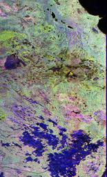 This image from NASA's Spaceborne Imaging Radar-C/X-band Synthetic Aperture Radar is a false-color composite of Raco, Michigan, located at the eastern end of Michigan's upper peninsula, west of Sault Ste. Marie and south of Whitefish Bay on Lake Superior.