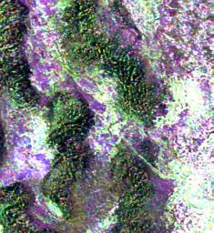 This radar image from NASA's Spaceborne Imaging Radar C/X-Band Synthetic Aperture is of an area thought to contain the ruins of the ancient settlement of Niya. It is located in the southwestern corner of the Taklamakan Desert in China's Sinjiang Province.