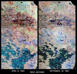 These are two false-color composites from NASA's Spaceborne Imaging Radar-C/X-band Synthetic Aperture Radar of Raco, Michigan, located at the eastern end of Michigan's upper peninsula, west of Sault Ste. Marie and south of Whitefish Bay on Lake Superior.