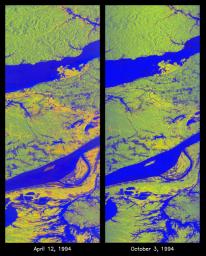 These two false-color images of the Manaus region of Brazil in South America were acquired by NASA's Spaceborne Imaging Radar-C and X-band Synthetic Aperture Radar on board the space shuttle Endeavour.
