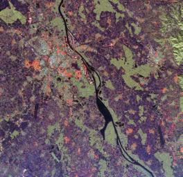 This spaceborne radar image from NASA's Spaceborne Imaging Radar C/X-Band Synthetic Aperture shows a segment of the Rhine River where it forms the border between the Alsace region of northeastern France on the left and the Black Forest region of Germany.