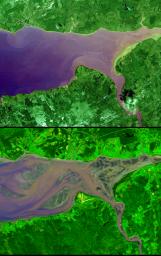 The highest tides on Earth occur in the Minas Basin, the eastern extremity of the Bay of Fundy, Nova Scotia, Canada. This image was acquired by NASA's Terra spacecraft.