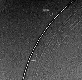 Voyager 2 has discovered two 'shepherd' satellites associated with the rings of Uranus. The two moons, designated 1986U7 and 1986U8, are seen here on either side of the bright epsilon ring; all nine of the known Uranian rings are visible.