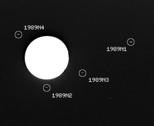 This image captured by NASA's Voyager 2 spacecraft on July 30, 1989, was used to confirm the discovery of three new satellites orbiting Neptune. 