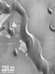 NASA's Mars Global Surveyor shows dunes composed of low albedo (dark) sand grains encircle the north polar cap of Mars. This view was taken during the northern summer in May 1999.