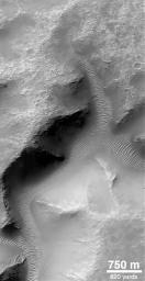 NASA's Mars Global Surveyor shows small valleys in the martian cratered highlands are often quite old and have been modified by erosion and wind action. The valleys shown here are located on a crater rim in Terra Tyrrhena. 